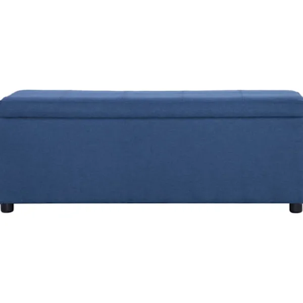 vidaXL Kistor & Koffertar>Bänk med förvaringsutrymme 116 cm blå polyester