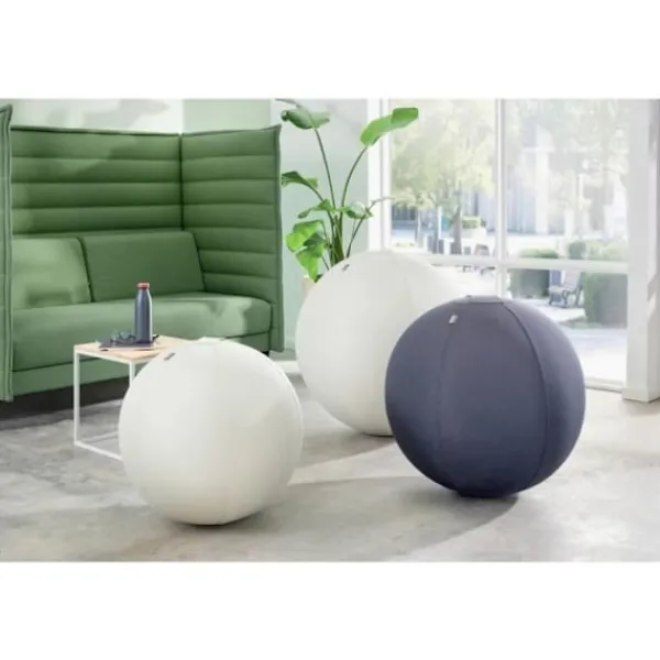 LEITZ Sittpuffar>Ergonomisk sittballong - - 75 cm - Mörk - Stöder upp till 150 kg - Kipp-säker TÜV Mörk