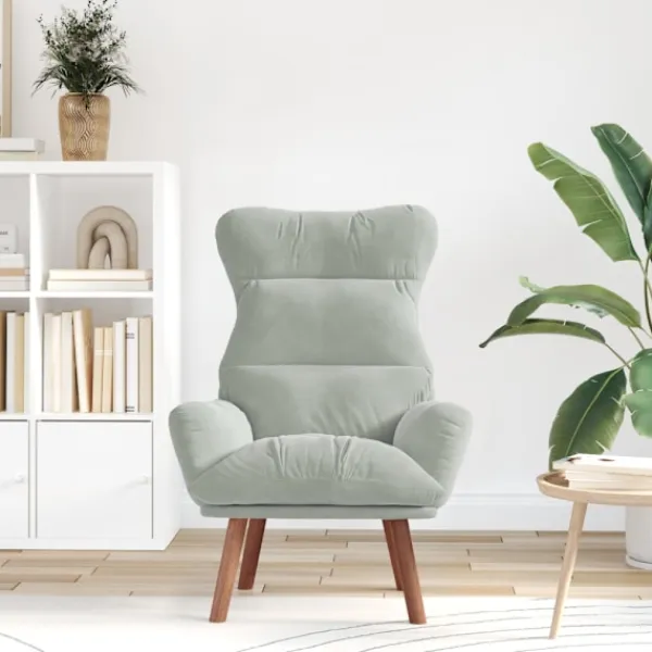 vidaXL Fåtöljer>fåtölj Ljusgrå 69 x 74 x 93 cm Sammet