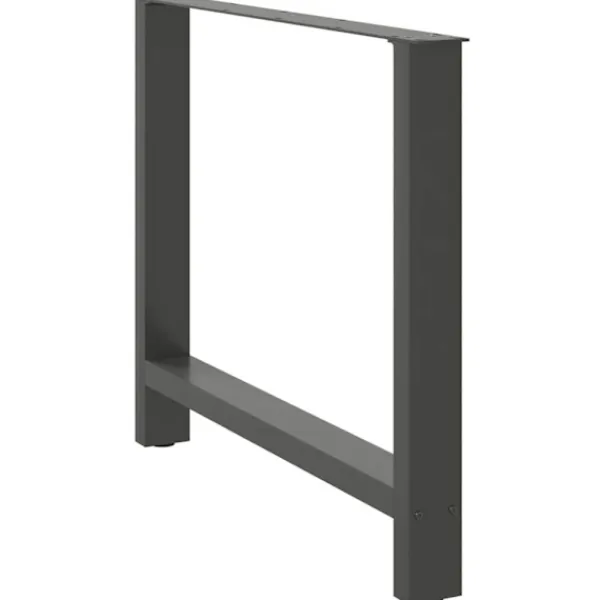 vidaXL Matbord>Matbordsben antracit 2 st 100x(72-73) cm stål
