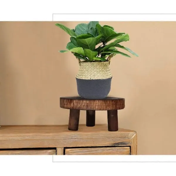 Pallar>Mini Rund Pall i Naturträ, Blomkrukställ, Trädgårdspall, - 3,5" Hög Naturträ