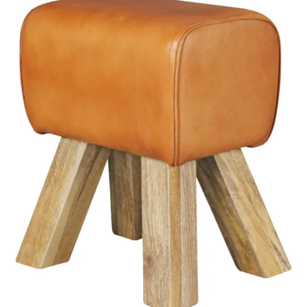 Rootz Living Pallar>Rootz Design sittpall brun 40 x 30 x 47 cm Klädselpall Läderpall - Fotpall Fotstöd