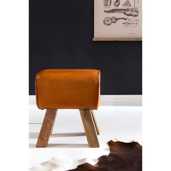 Rootz Living Pallar>Rootz Design sittpall brun 40 x 30 x 47 cm Klädselpall Läderpall - Fotpall Fotstöd