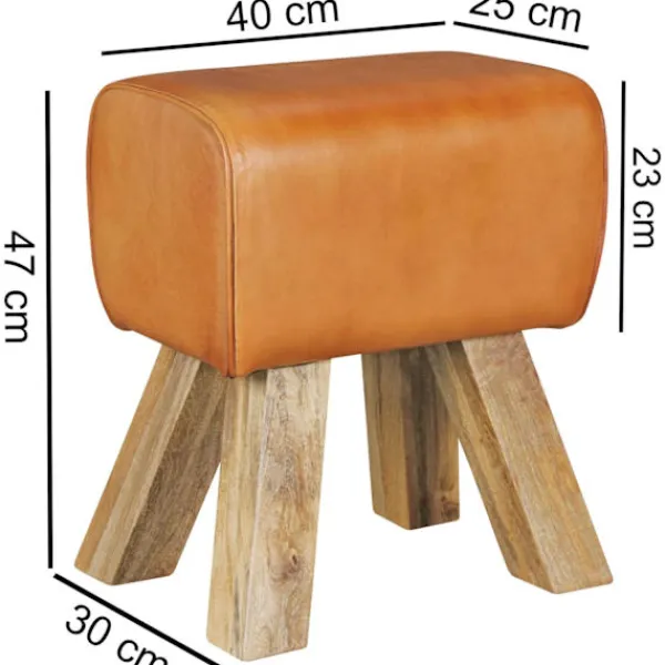 Rootz Living Pallar>Rootz Design sittpall brun 40 x 30 x 47 cm Klädselpall Läderpall - Fotpall Fotstöd
