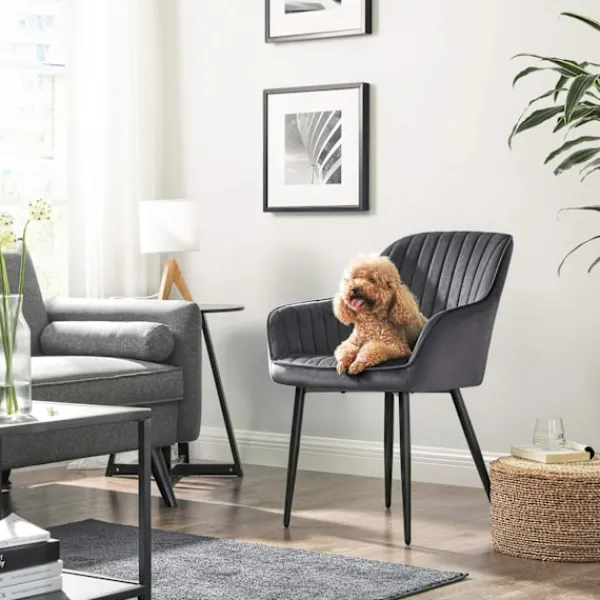 Rootz Living Fåtöljer>Rootz Velvet Dining Chair - Grå Stol - Stoppad sits - Skumstoppning - Pulverlackerade metallben - 62,5 cm x 60 cm x 85 cm