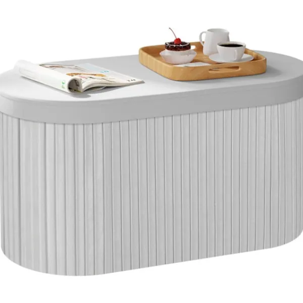 Rootz Living Pallar>Rootz Velvet Seat Pall - Lagring Ottoman - Foldbara möbler - 76L kapacitet - 76x38x38cm grå