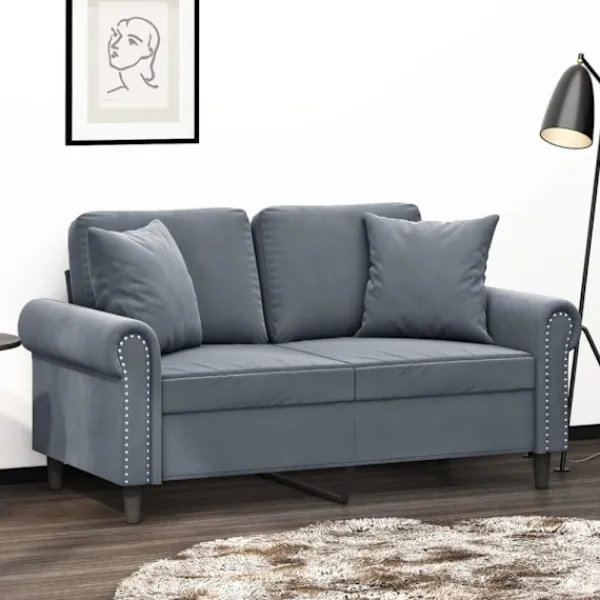 vidaXL Soffor>2-sitssoffa med prydnadskuddar mörkgrå 120 cm sammet