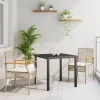 vidaXL Balkongmöbler>Trädgårdsmöbelset 3 pcs Beige konstrotting