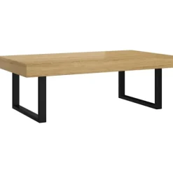 vidaXL Soffbord>Soffbord ljus och svart 120x60x40 cm MDF och järn